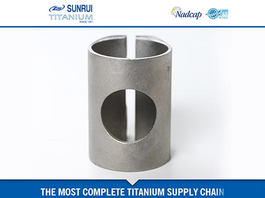 Titanium Investment (precision) Casting 1