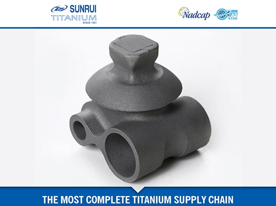 Titanium Investment (precision) Casting 30